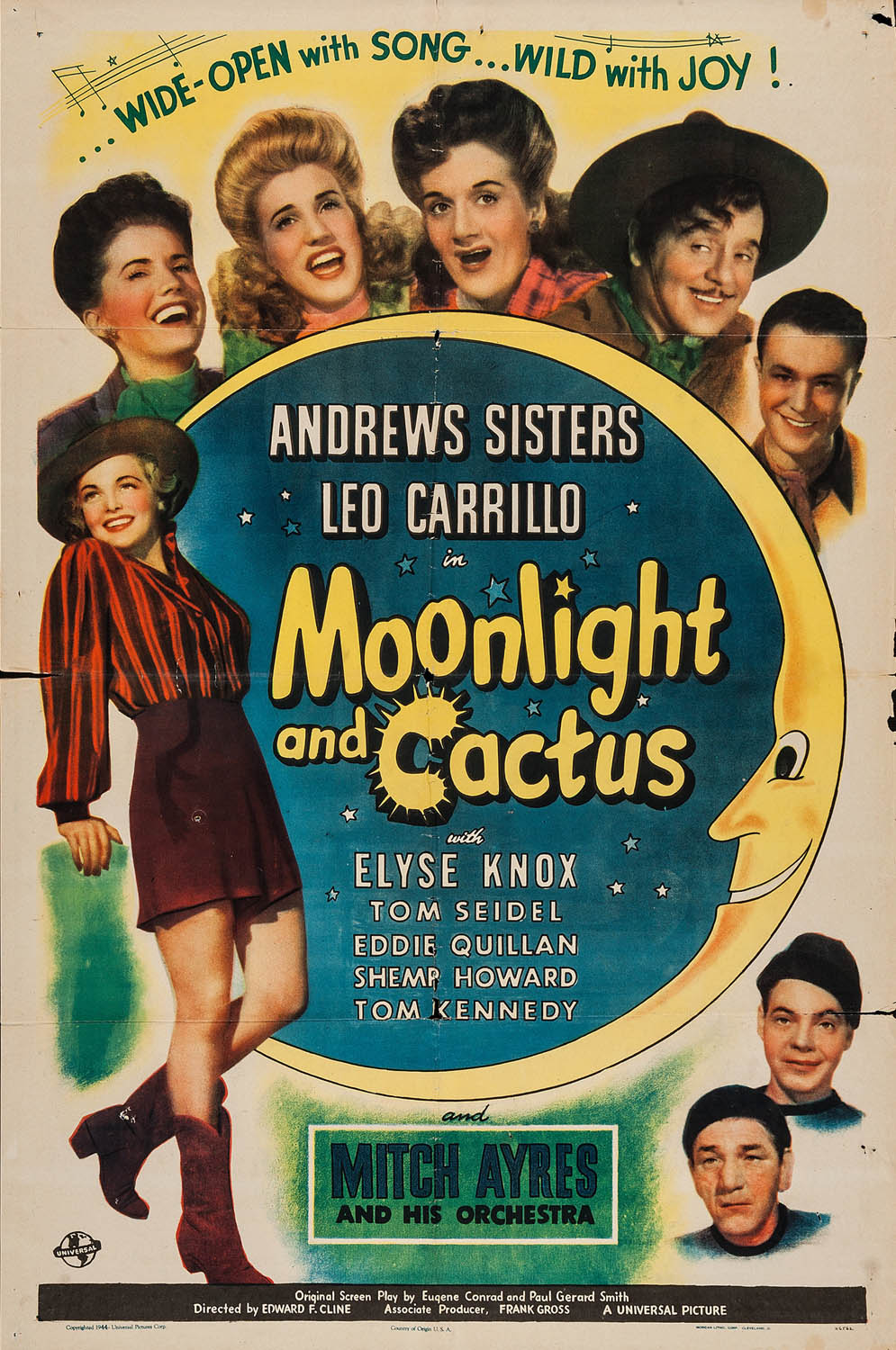 MOONLIGHT AND CACTUS